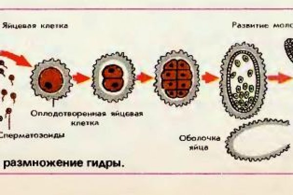 Кракен рынок сайт